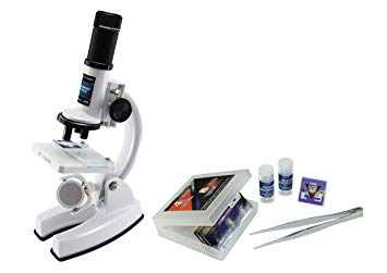 digital blue microscope software windows 10